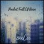 Pocket Full Of Rain