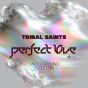 Perfect Love (Part 2)