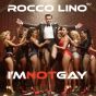 I'm Not Gay (StoneBridge + Micky Modelle Remixes)